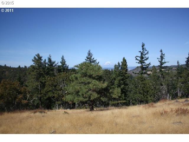 Ketchem Road Mosier, OR 97040 - Photo 10 of 12 Gallery Image 10
