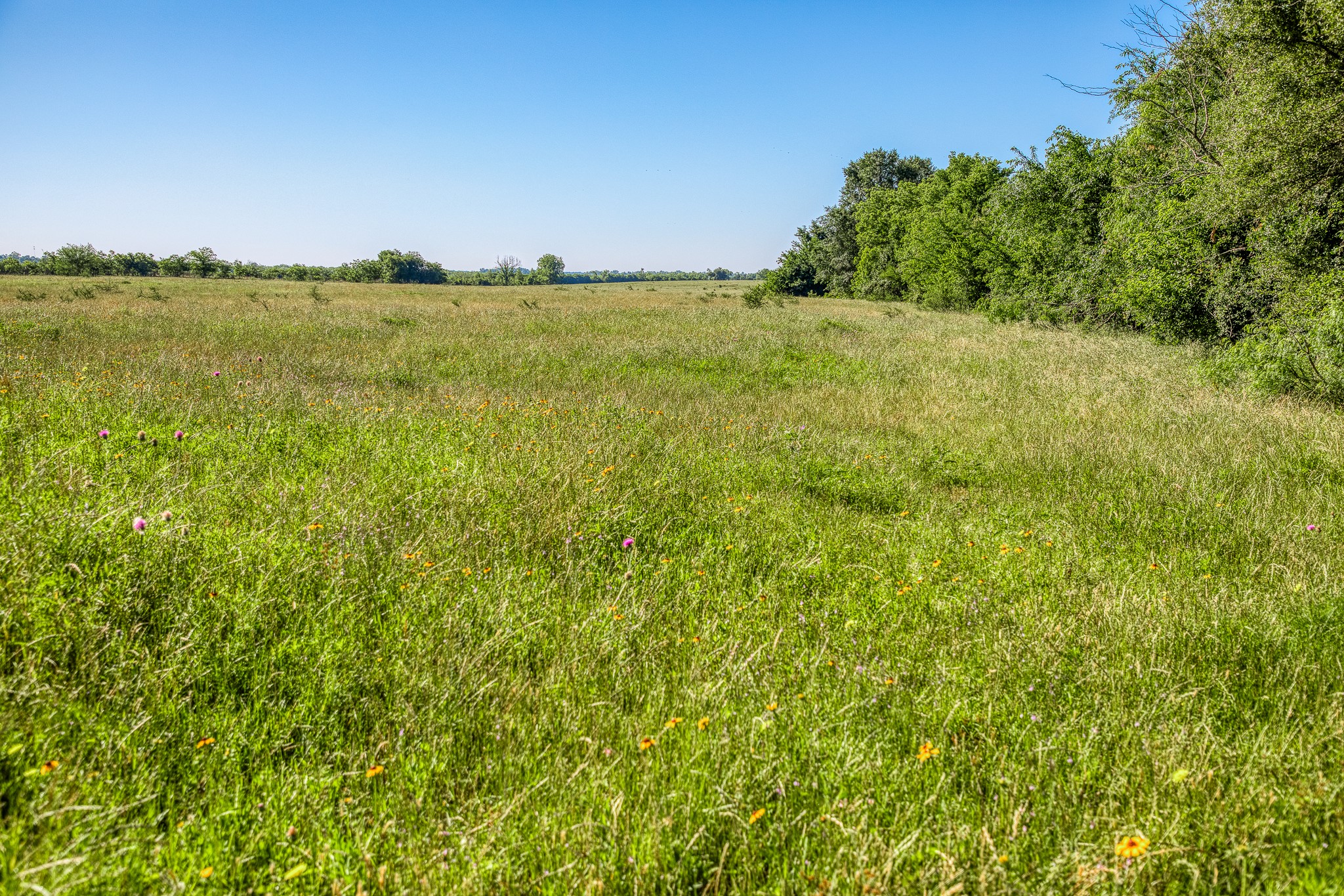 0 Flat Prairie Road Washington, TX 77880 - Photo 2 of 19