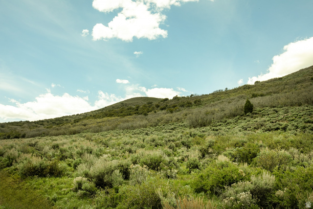 1646 North Miles Holw Road, Unit 29 Kamas, UT 84036 - Photo 29 of 35 Expansive hillside property featuring diverse native vegetation and a broad sky