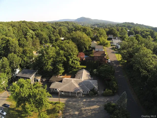 a view of a lot of trees and bushes