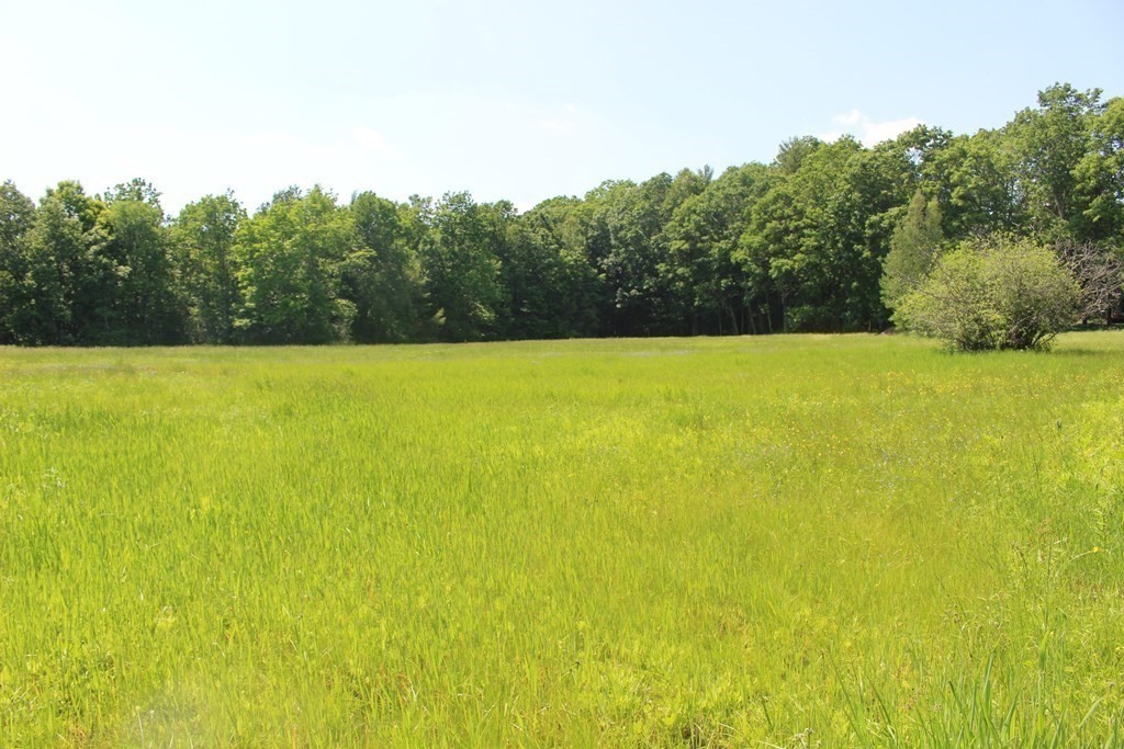 82 Shepardson Road Warwick, MA 01378 - Photo 2 of 11
