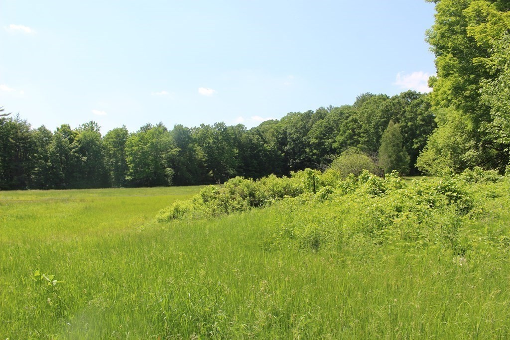 82 Shepardson Road Warwick, MA 01378 - Photo 4 of 11