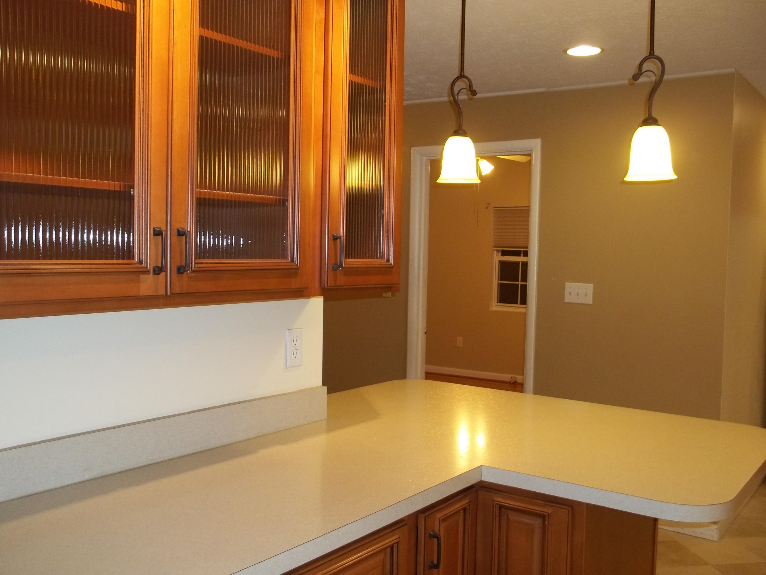 107 Dixie Lane Oak Ridge, TN 37830 - Photo 6 of 20 100_6638