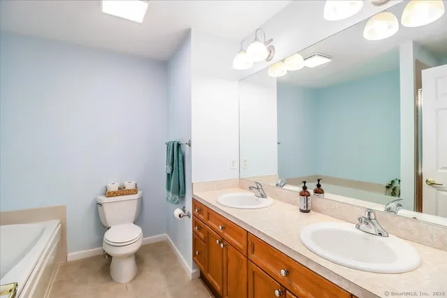 a bathroom with a double vanity sink mirror and toilet