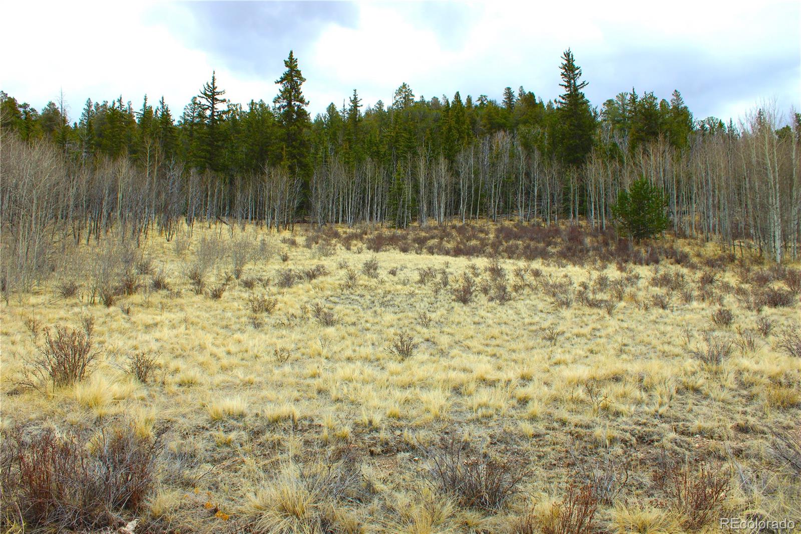580 Ouray Trail Como, CO 80456 - Photo 15 of 26