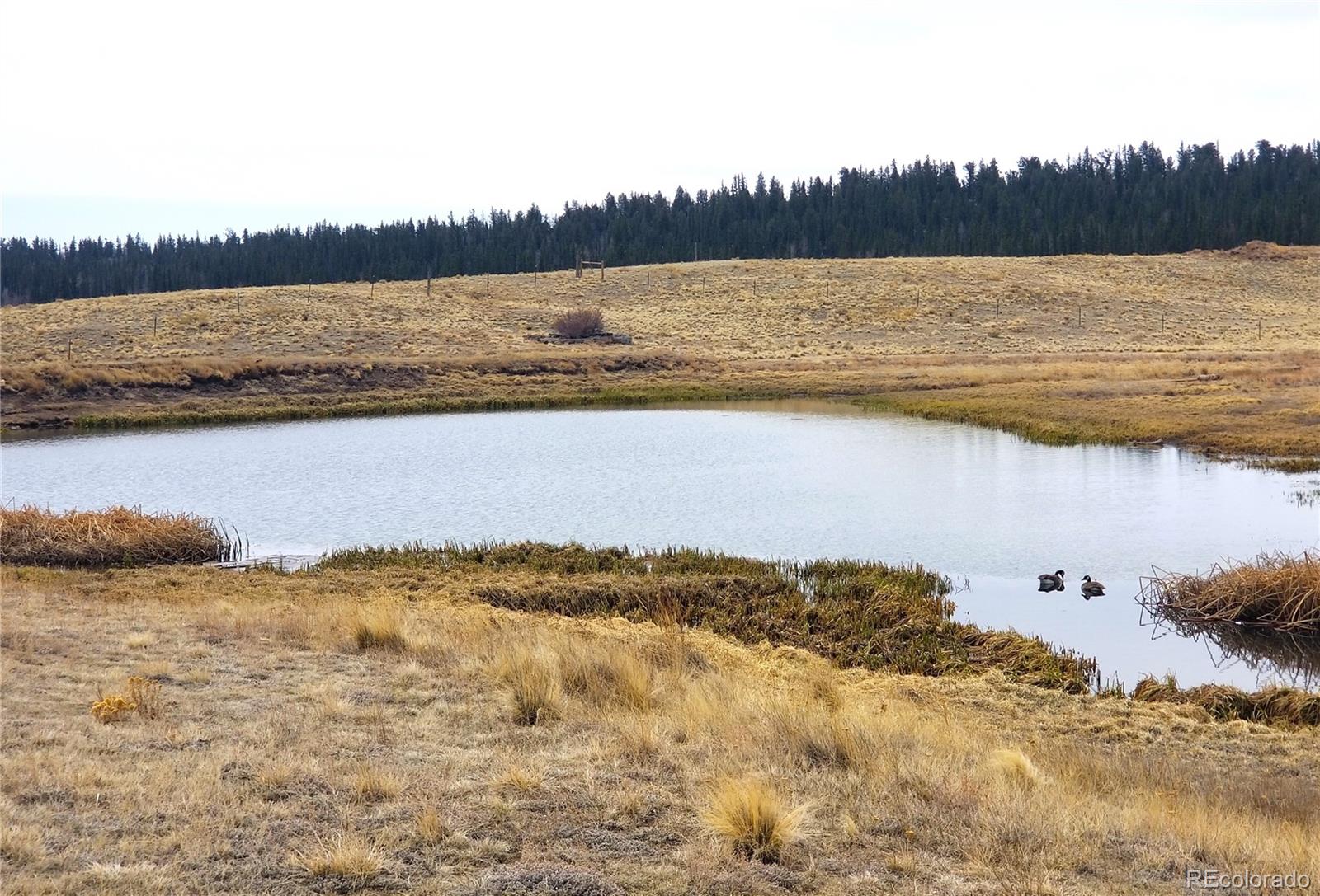 580 Ouray Trail Como, CO 80456 - Photo 19 of 26