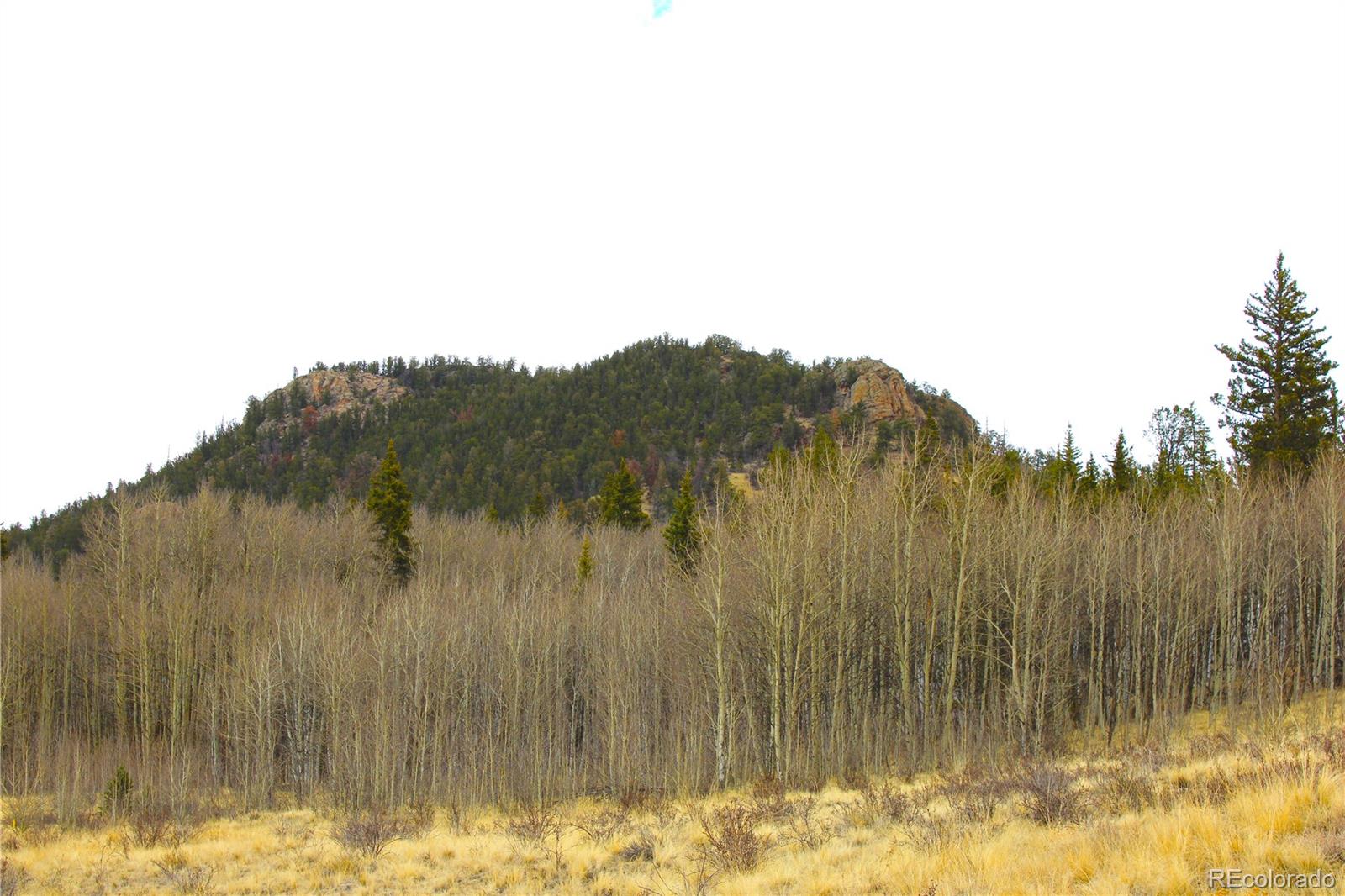 580 Ouray Trail Como, CO 80456 - Photo 2 of 26