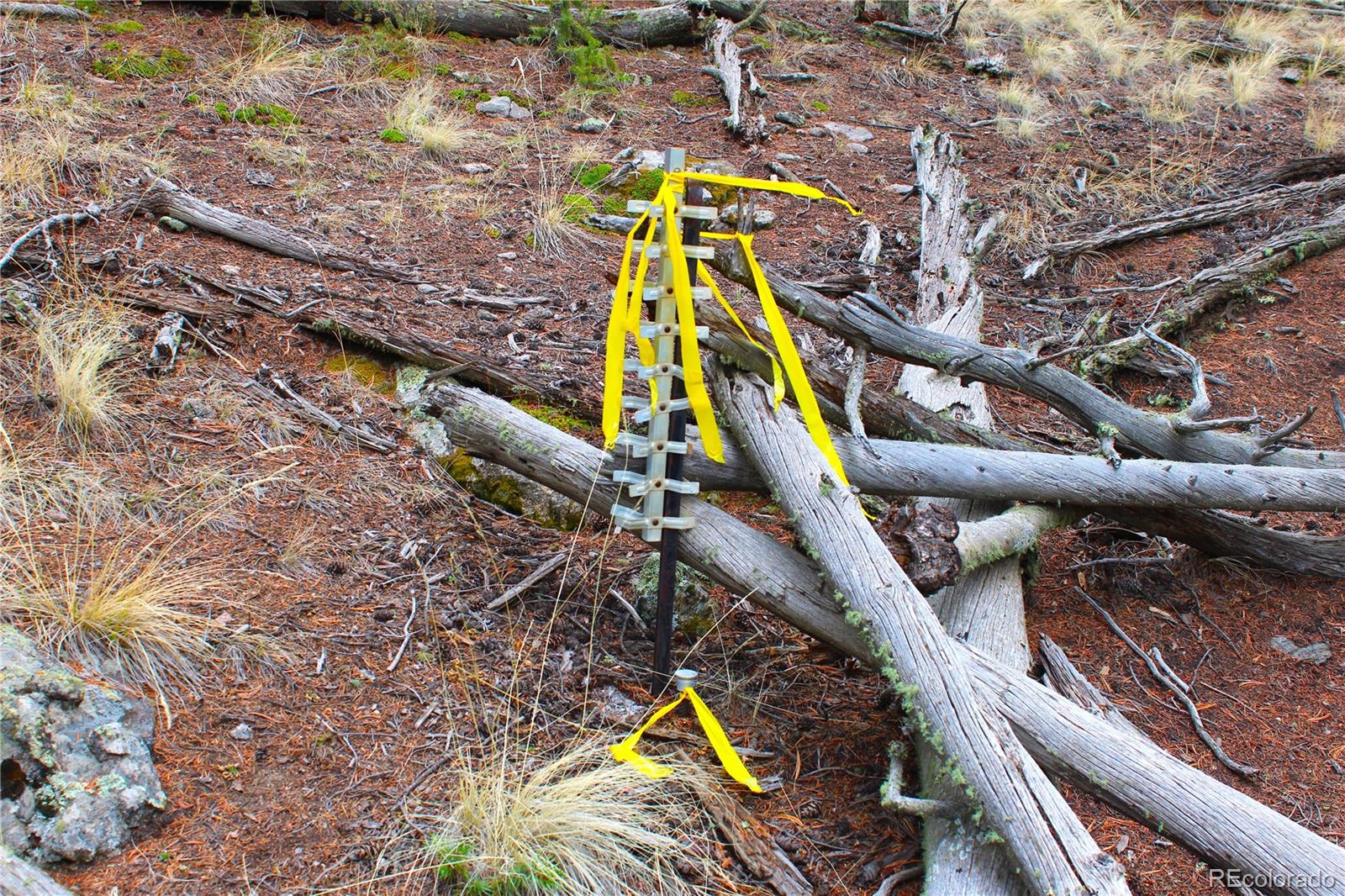 580 Ouray Trail Como, CO 80456 - Photo 25 of 26