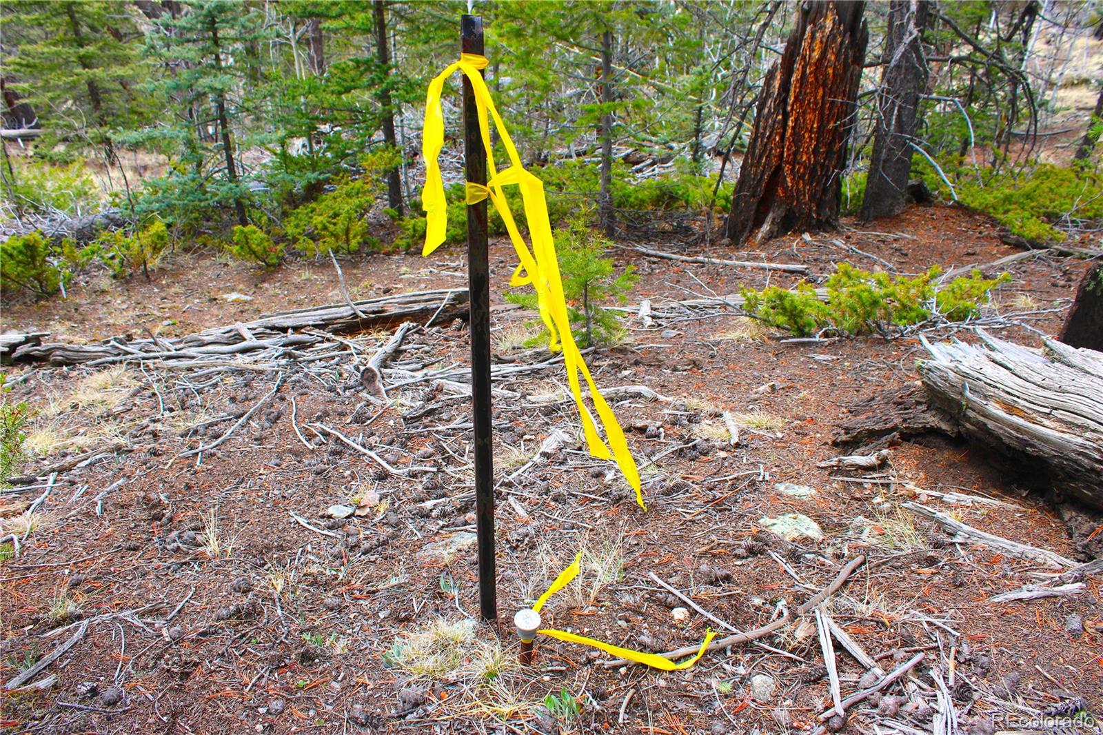 580 Ouray Trail Como, CO 80456 - Photo 26 of 26