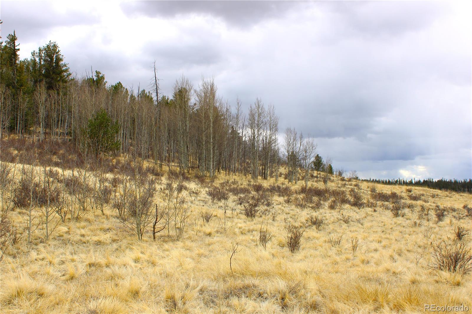 580 Ouray Trail Como, CO 80456 - Photo 3 of 26