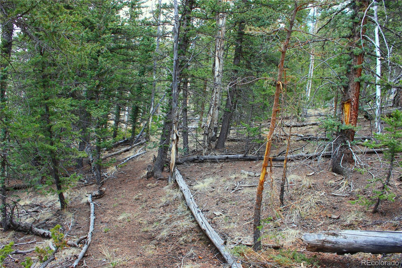 580 Ouray Trail Como, CO 80456 - Photo 7 of 26