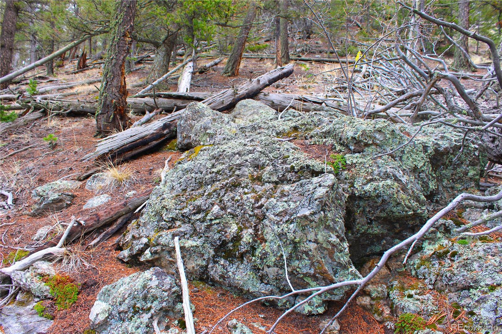 580 Ouray Trail Como, CO 80456 - Photo 10 of 26