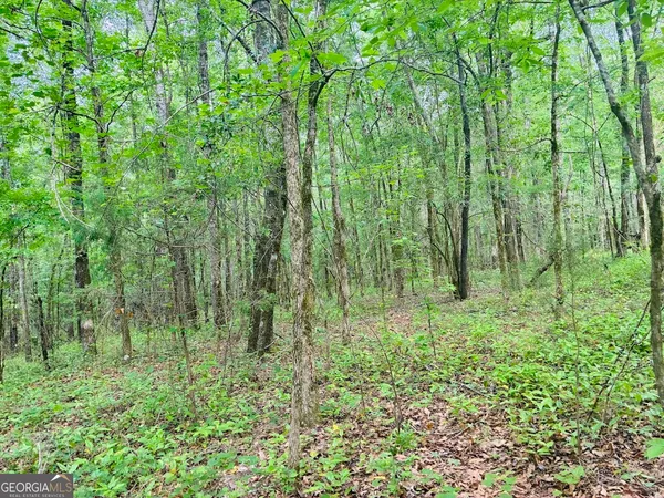 $150,520 | 0 Wall Street, Tallassee, AL 36078