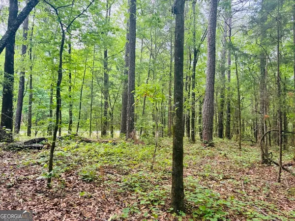 $150,520 | 0 Wall Street, Tallassee, AL 36078