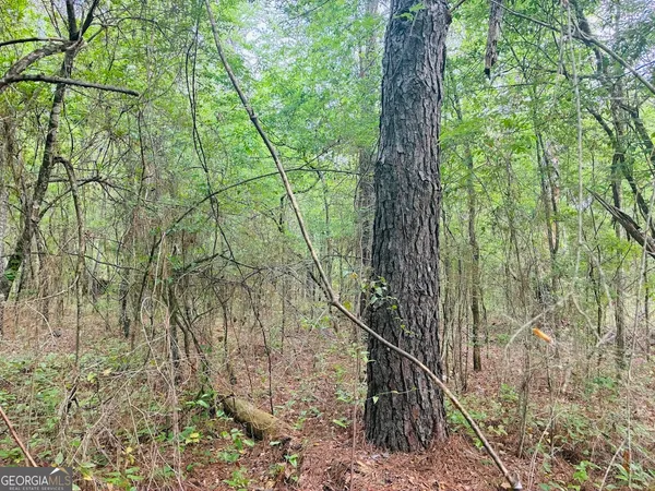 $150,520 | 0 Wall Street, Tallassee, AL 36078
