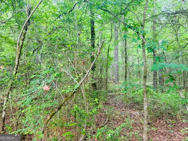 $150,520 | 0 Wall Street, Tallassee, AL 36078