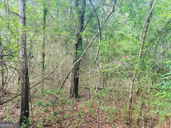 $150,520 | 0 Wall Street, Tallassee, AL 36078