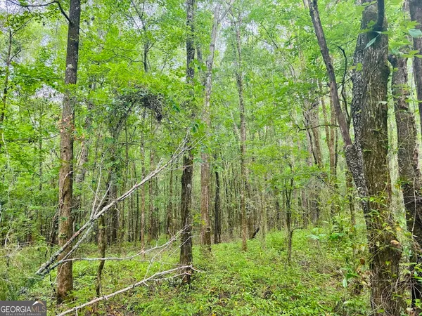 $150,520 | 0 Wall Street, Tallassee, AL 36078