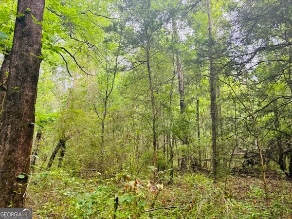 $150,520 | 0 Wall Street, Tallassee, AL 36078
