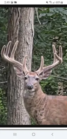 $734,900 | N8720 County Cx, Portage, WI 53901