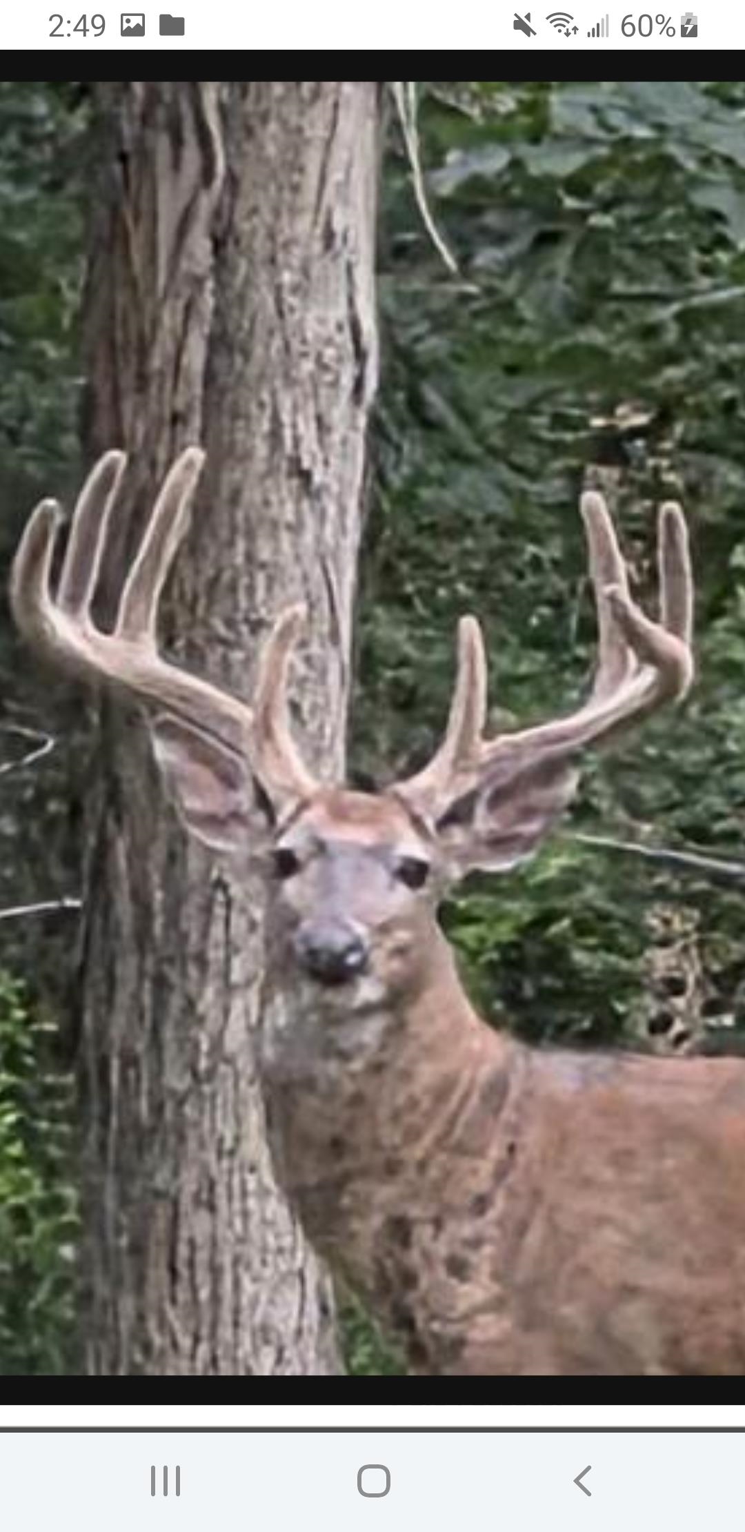 N8720 County Cx Portage, WI 53901 - Photo 1 of 11