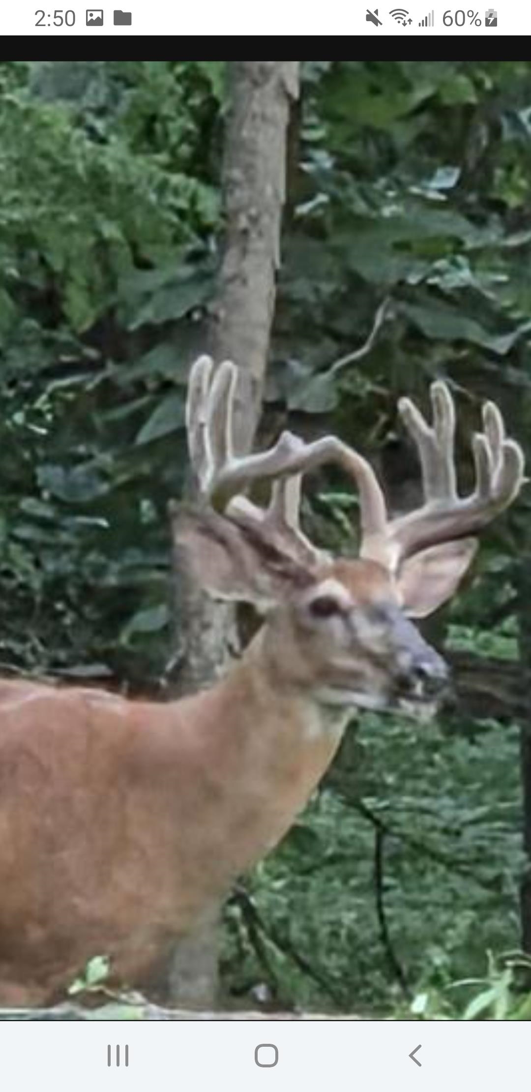 N8720 County Cx Portage, WI 53901 - Photo 2 of 11