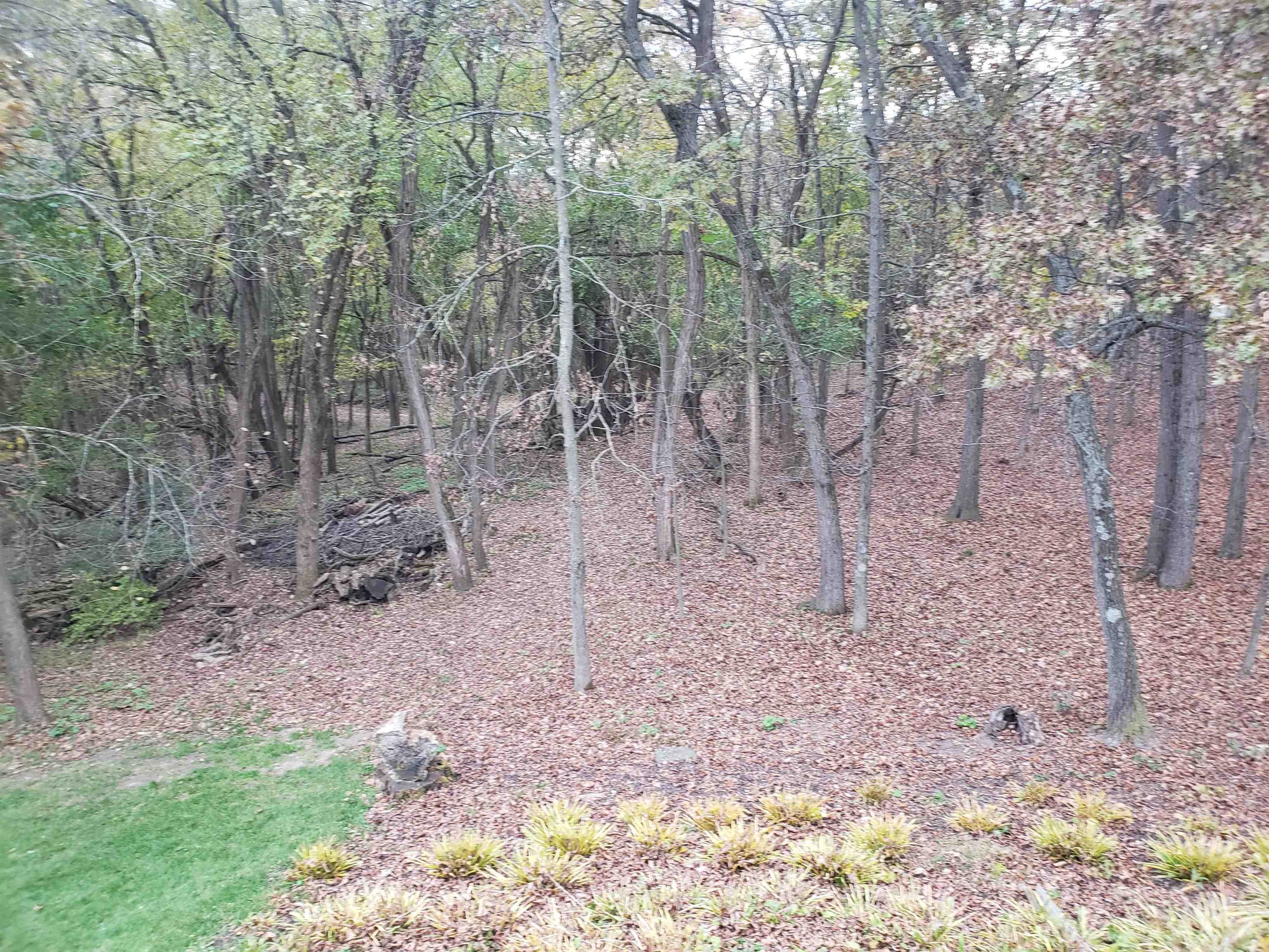 N8720 County Cx Portage, WI 53901 - Photo 6 of 11