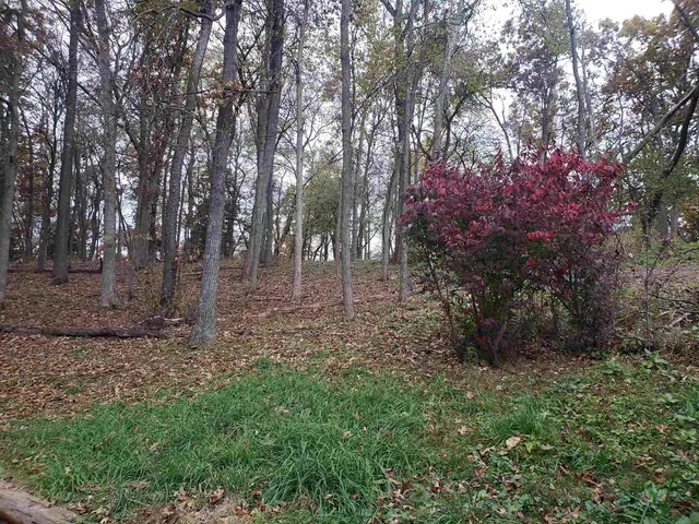 $734,900 | N8720 County Cx, Portage, WI 53901