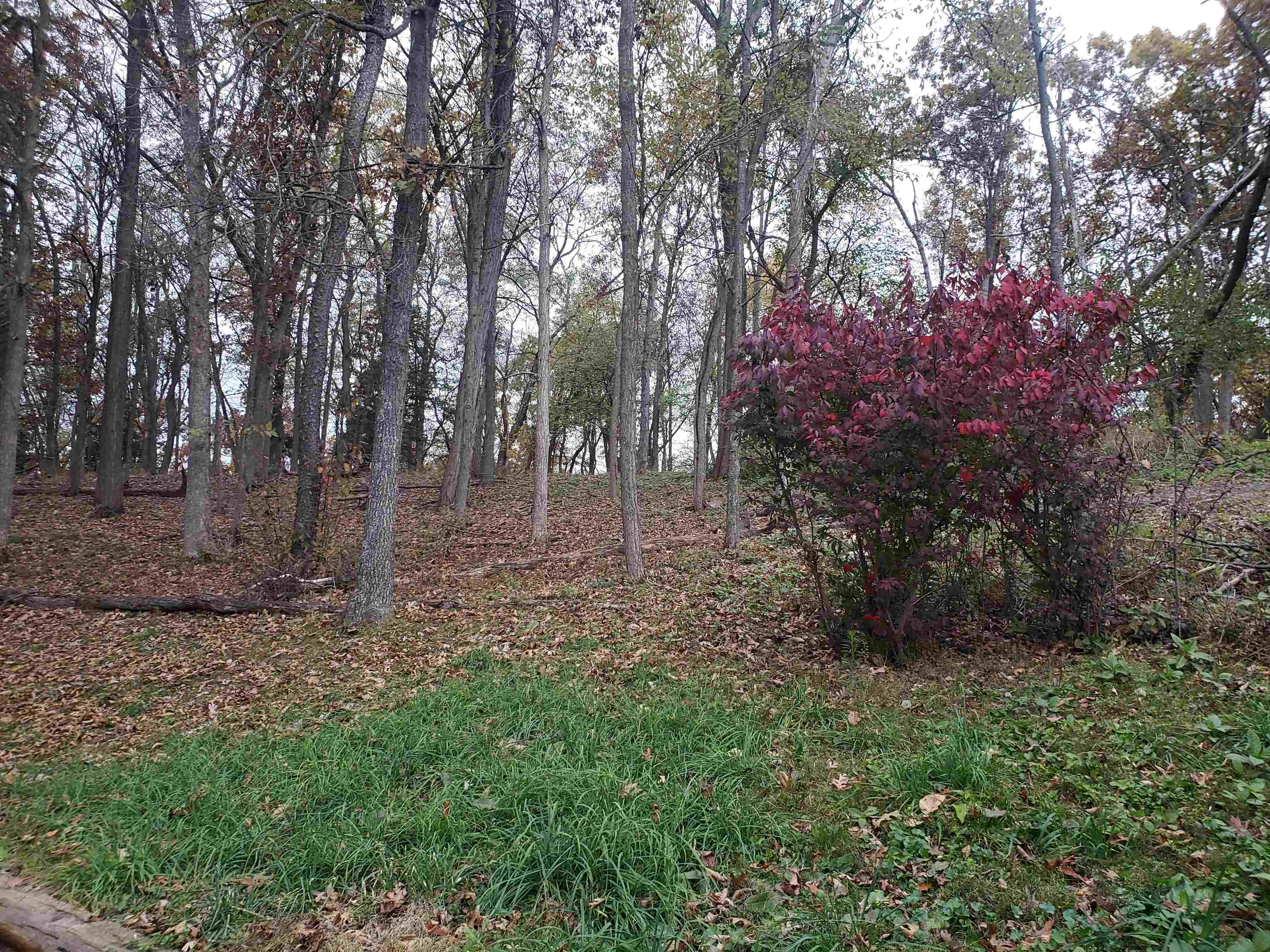 N8720 County Cx Portage, WI 53901 - Photo 8 of 11