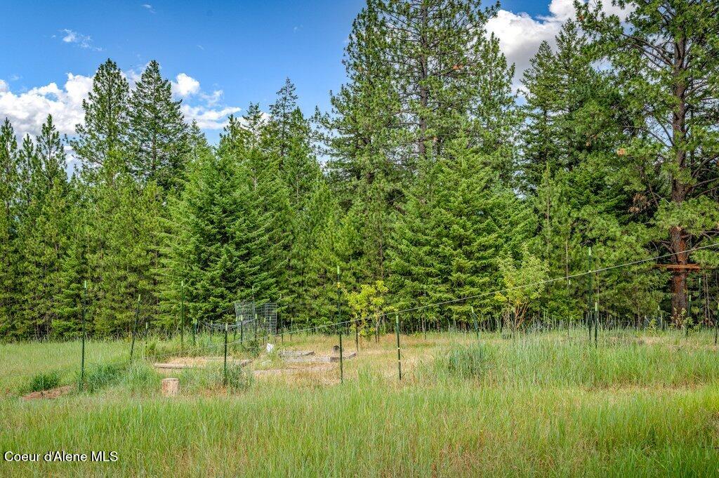 3018 South Signal Point Road Post Falls, ID 83854 - Photo 73 of 117 Fruit Trees