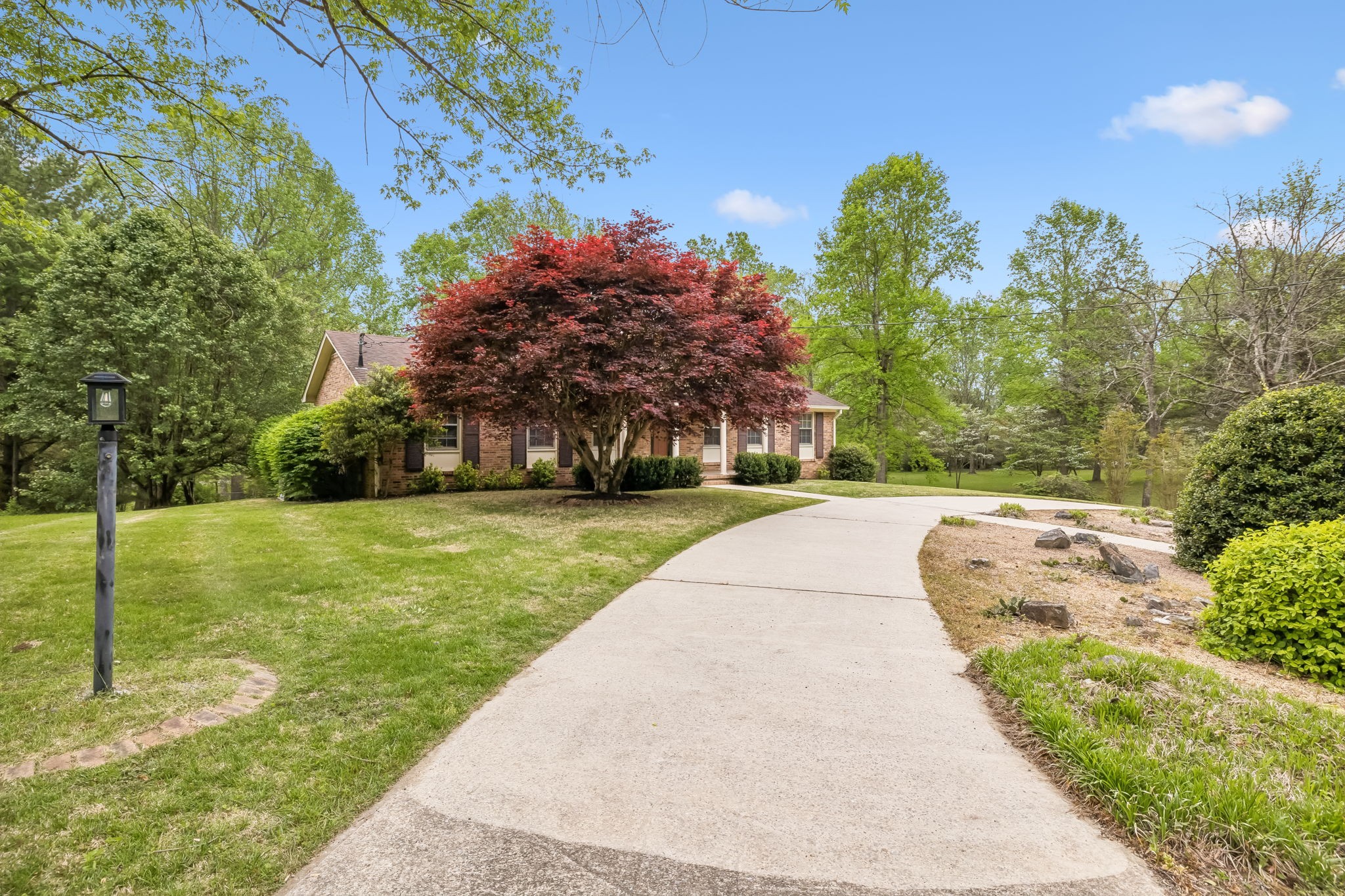 1343 Whiteaker Springs Road Cookeville, TN 38506 - Photo 8 of 48 a view of backyard with green space