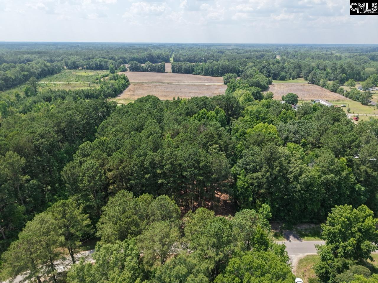 0 Peace Lane Bowman, SC 29018 - Photo 6 of 13