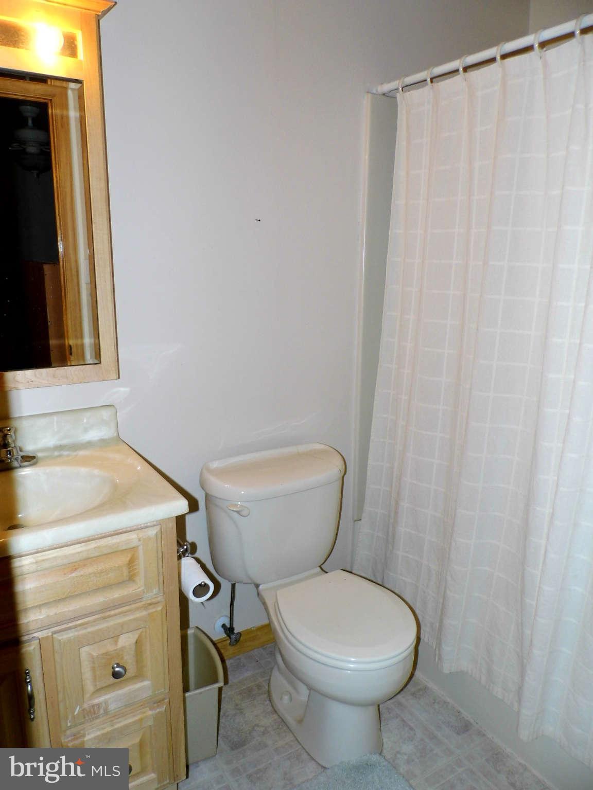 2483 Lakeside Drive Frederick, MD 21702 - Photo 18 of 18 Full Bath Lower Level