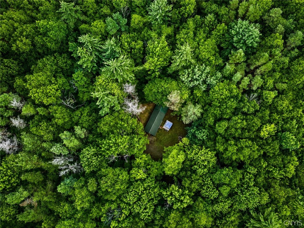 11 Beaver Dam Brook Road Altmar, NY 13302 - Photo 9 of 31 Gallery Image 9