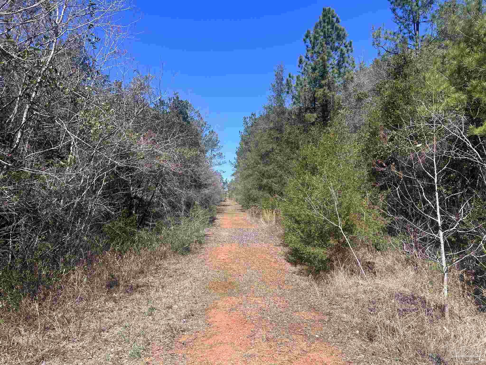 3 Robinsonville Road Atmore, AL 36502 - Photo 22 of 25