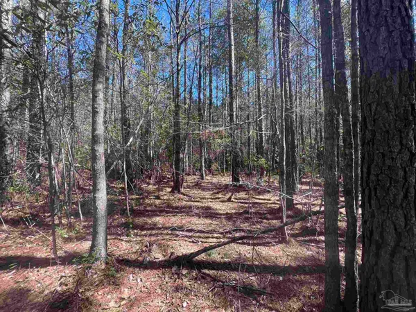 $59,993 | 3 Robinsonville Road, Atmore, AL 36502