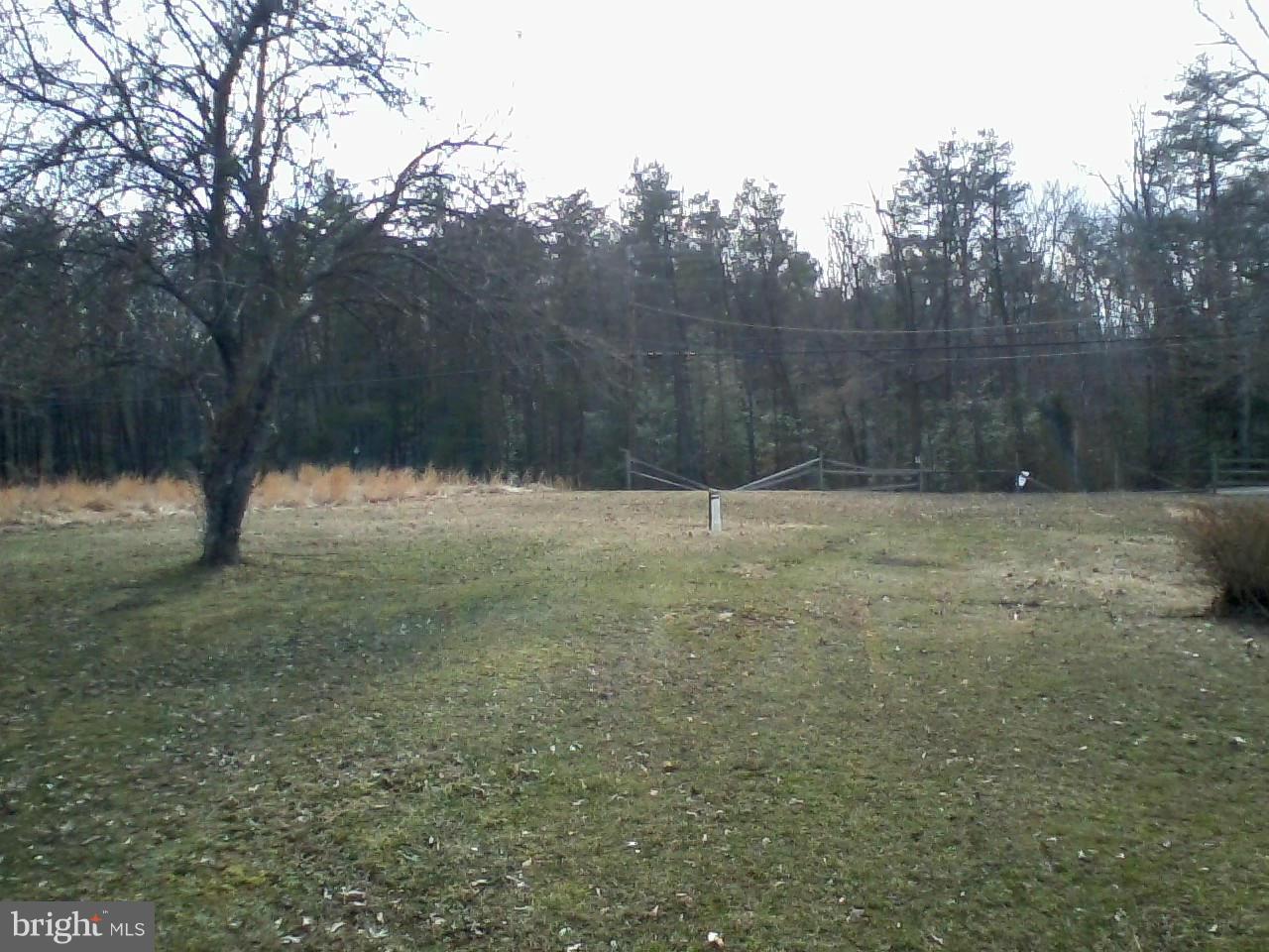 19100 Aquasco Road Brandywine, MD 20613 - Photo 2 of 3 Front yard