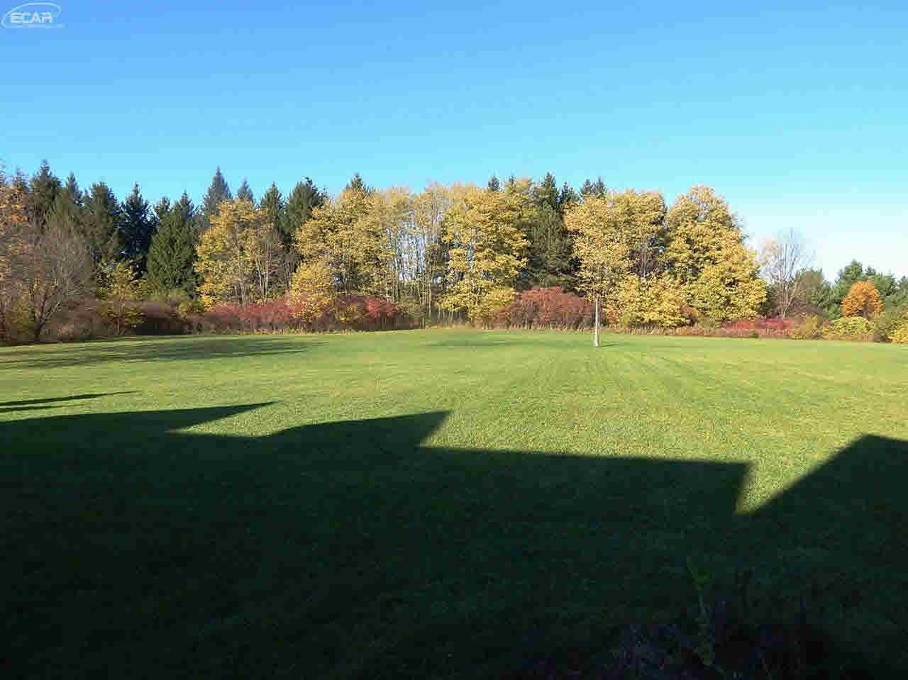 12401 Coolidge Road Goodrich, MI 48438 - Photo 4 of 36 21234437-3.JPG