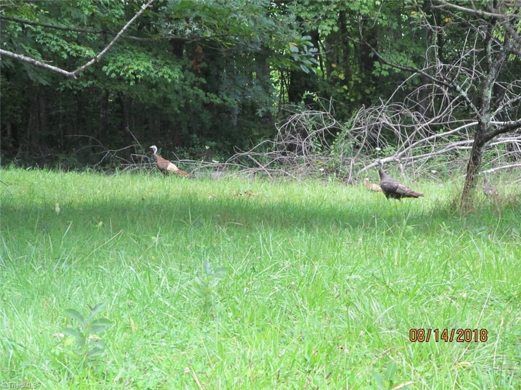 1385 North Franklin Road Mount Airy, NC 27030 - Photo 12 of 30 Gallery Image 12