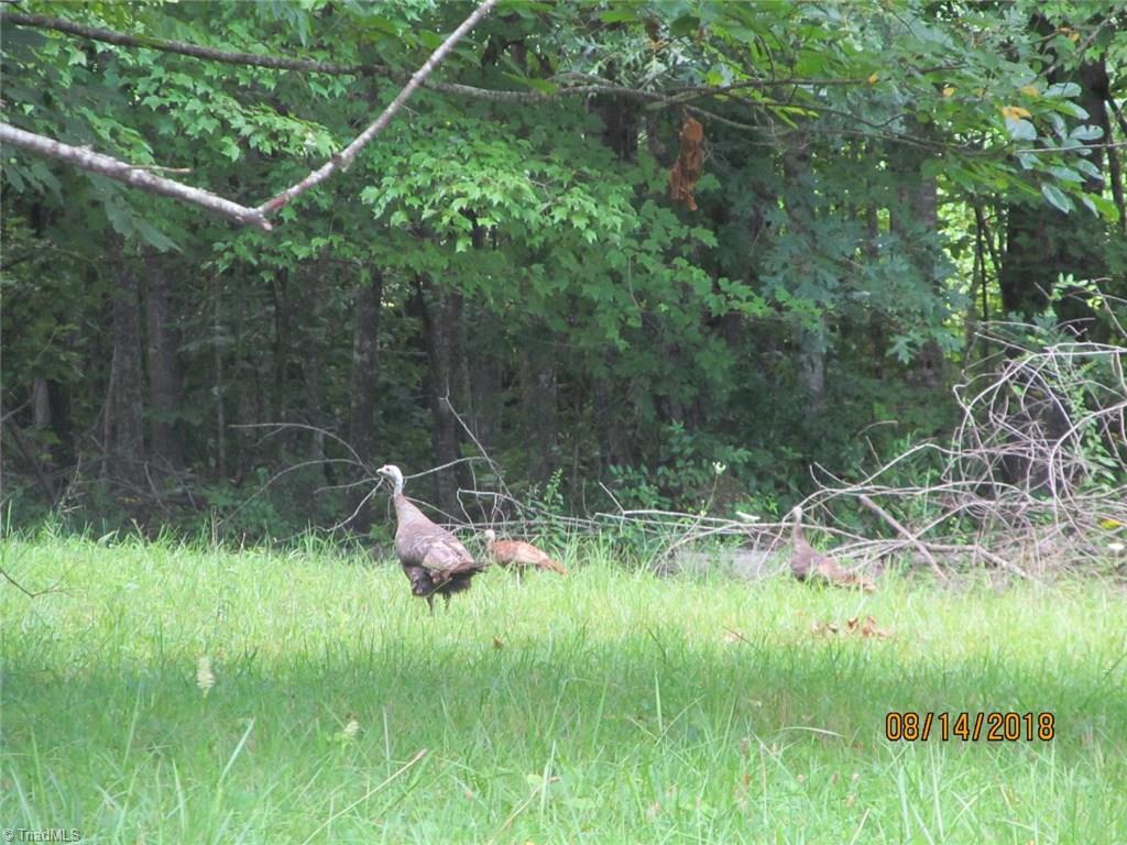 1385 North Franklin Road Mount Airy, NC 27030 - Photo 13 of 30 Gallery Image 13