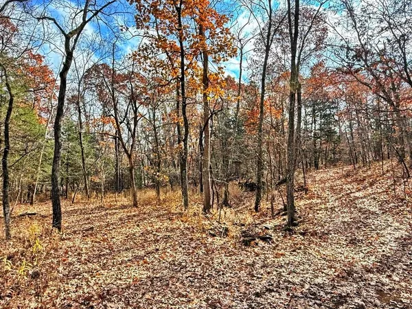 $329,670 | 0 Southeast 500 Road, Collins, MO 64738