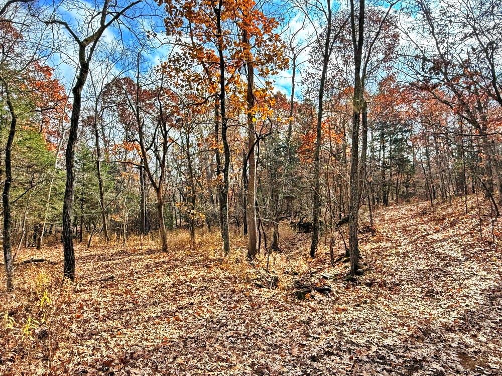 0 Southeast 500 Road Collins, MO 64738 - Photo 11 of 47