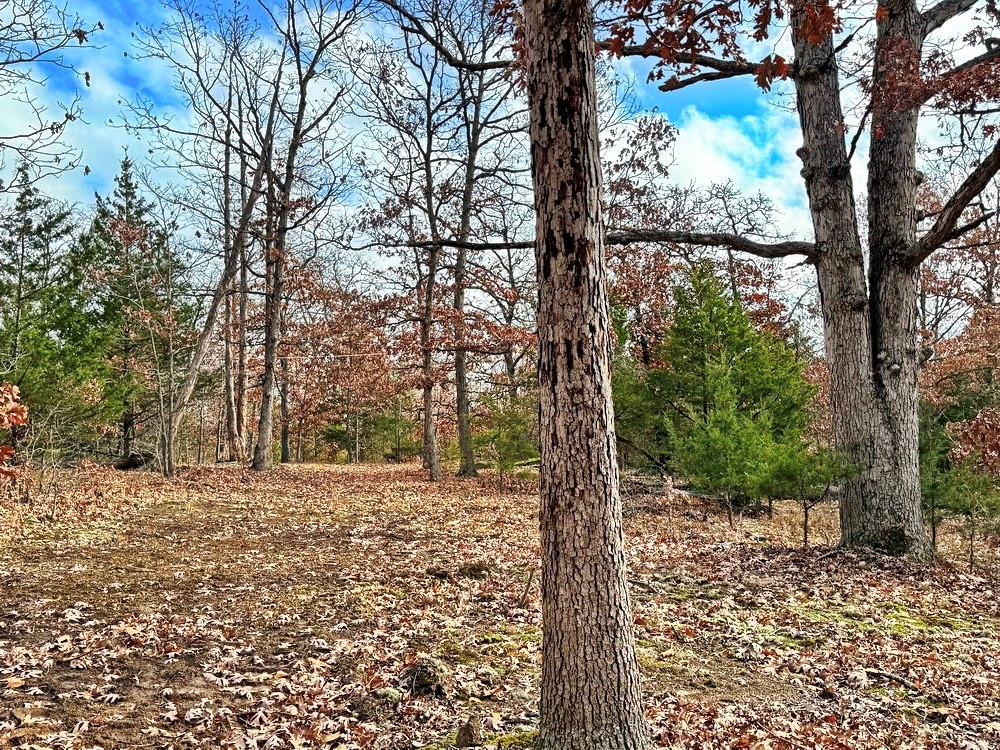 0 Southeast 500 Road Collins, MO 64738 - Photo 12 of 47