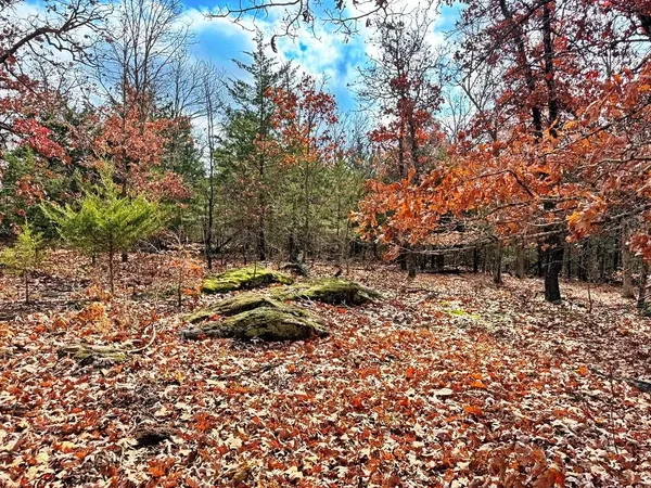 $329,670 | 0 Southeast 500 Road, Collins, MO 64738
