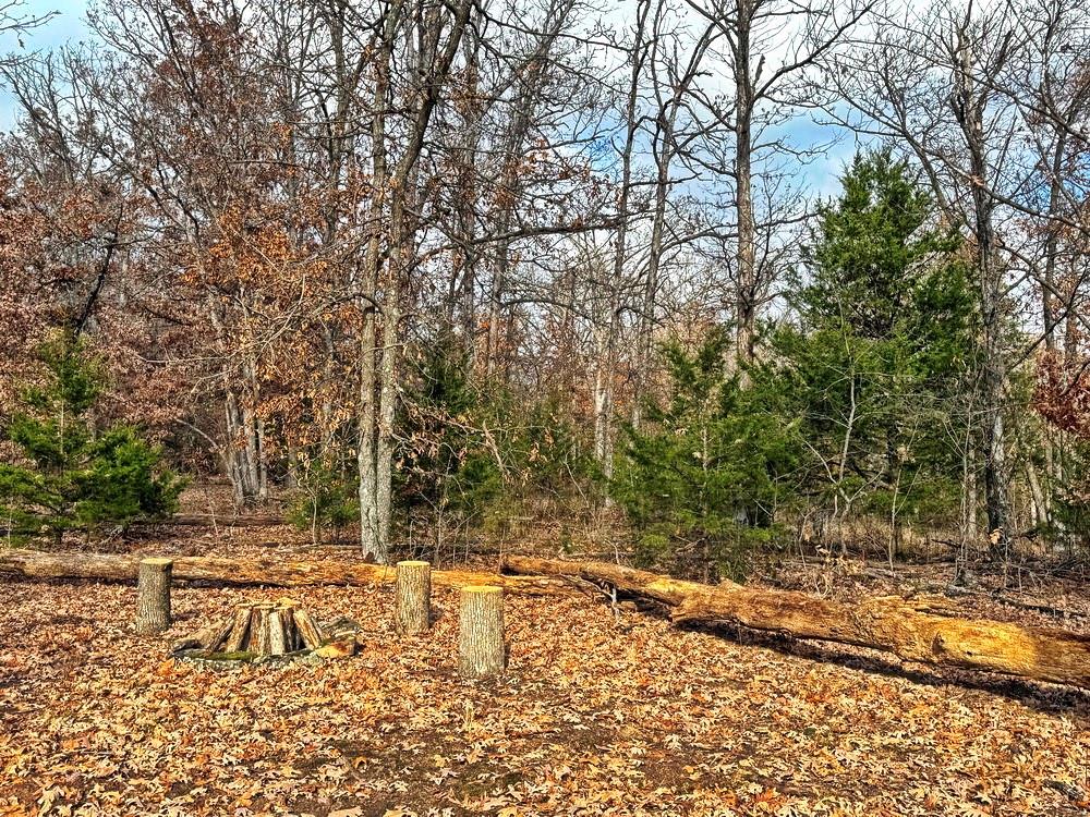 0 Southeast 500 Road Collins, MO 64738 - Photo 14 of 47