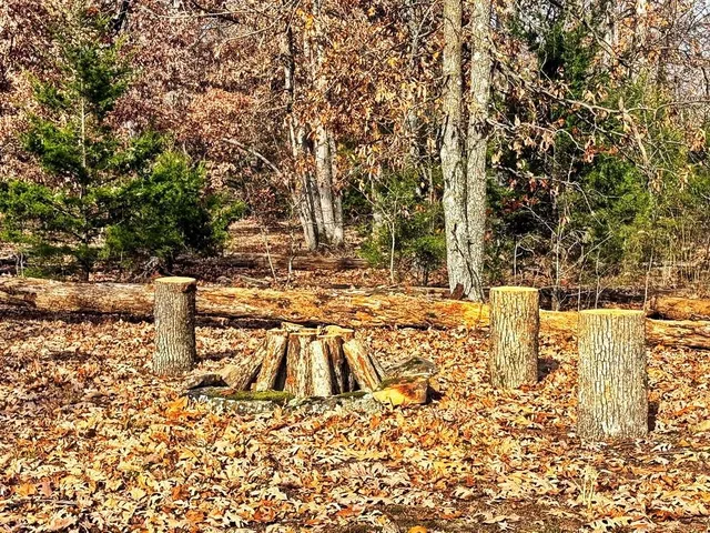 $349,000 | 0 Southeast 500 Road, Collins, MO 64738