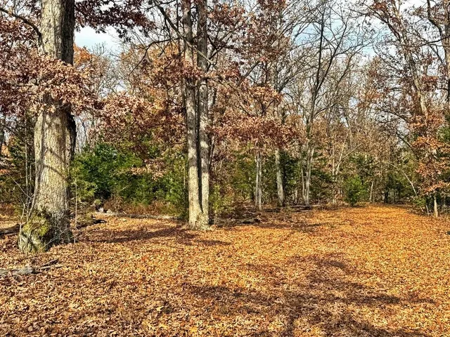 $349,000 | 0 Southeast 500 Road, Collins, MO 64738