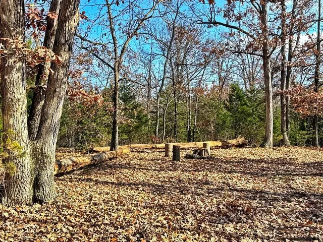 $349,000 | 0 Southeast 500 Road, Collins, MO 64738