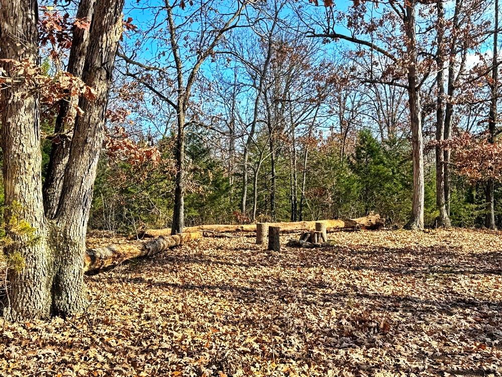 0 Southeast 500 Road Collins, MO 64738 - Photo 2 of 47