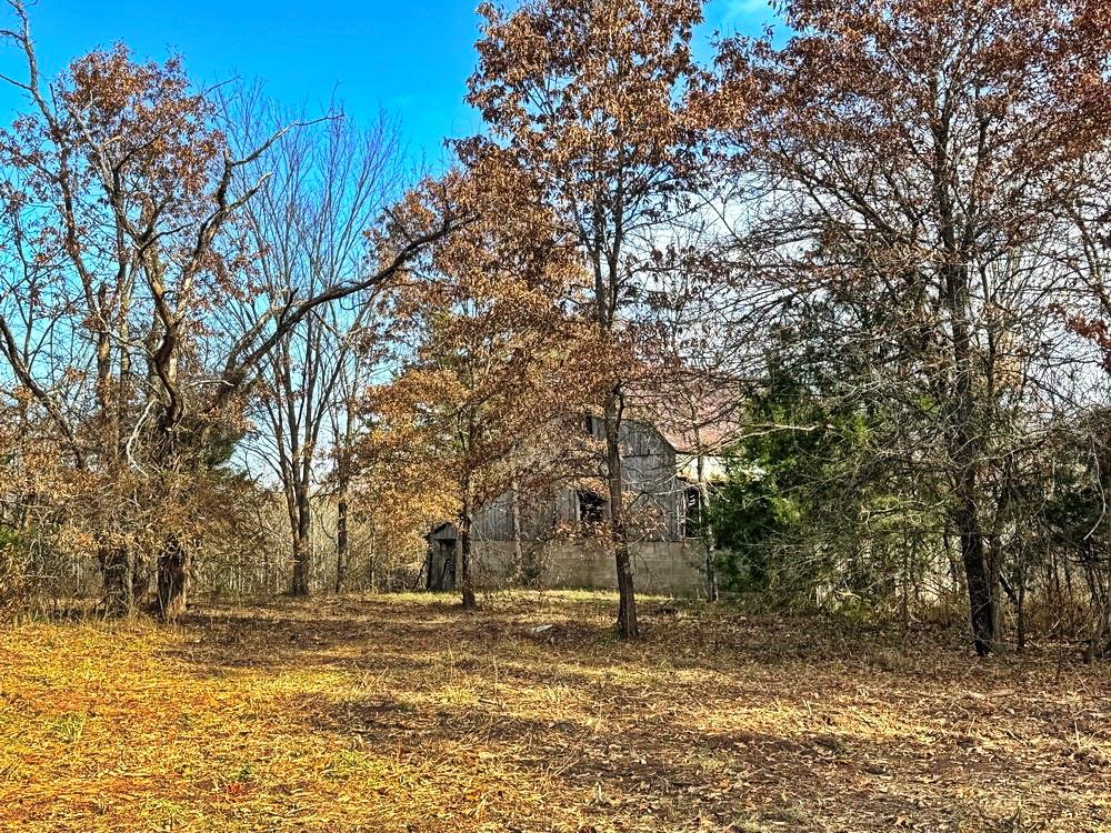 0 Southeast 500 Road Collins, MO 64738 - Photo 21 of 47